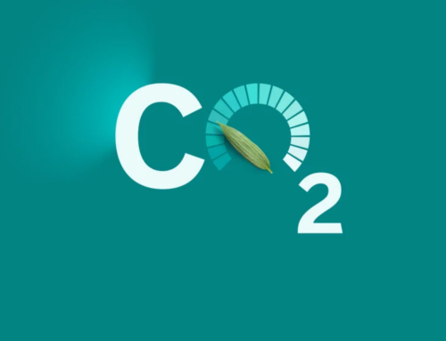 BBVA Asset Management  announces initial  decarbonization targets for its  portfolios